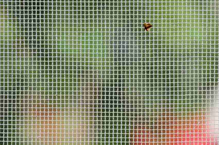 Moustiquaire avec insecte coincée, nettoyer moustiquaire 