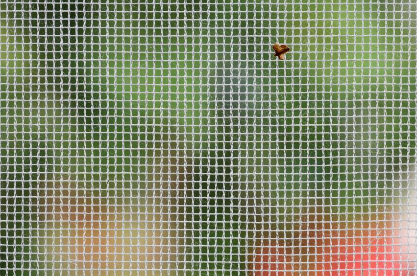 Moustiquaire avec insecte coincée, nettoyer moustiquaire